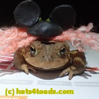 /home//u458753944/public_html/sourcegallery///Roxborough Toad Detour/2013-2019/2018/2018-04-13/P4130009.JPG